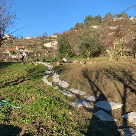 Casa Da Horta - Douro Portugal Holiday home